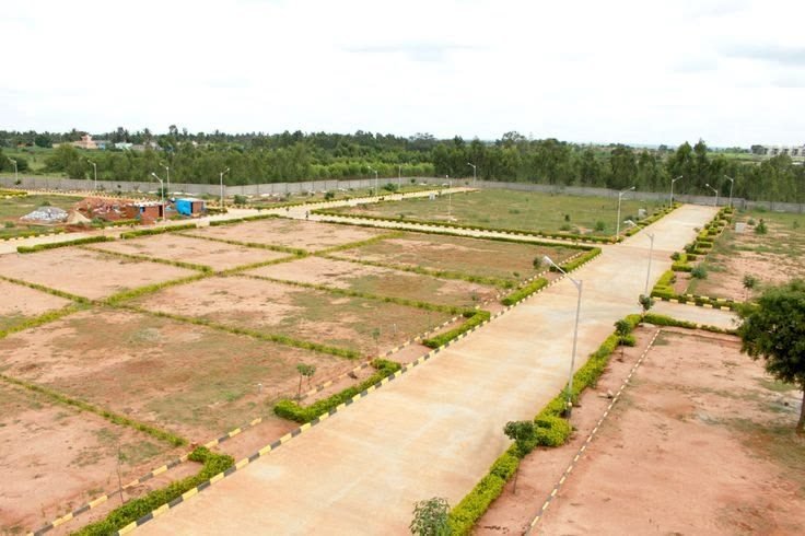 Developed plots with roads and street lights